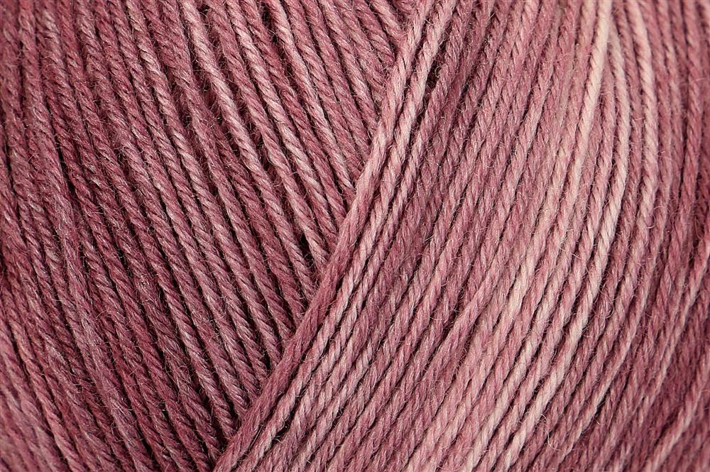Premium Silk Color 4-fach Sockenwolle 100 g von Regia