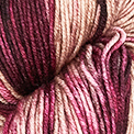 Viva Color von Symfonie Hand-Dyed-Yarns