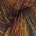 Viva Color von Symfonie Hand-Dyed-Yarns