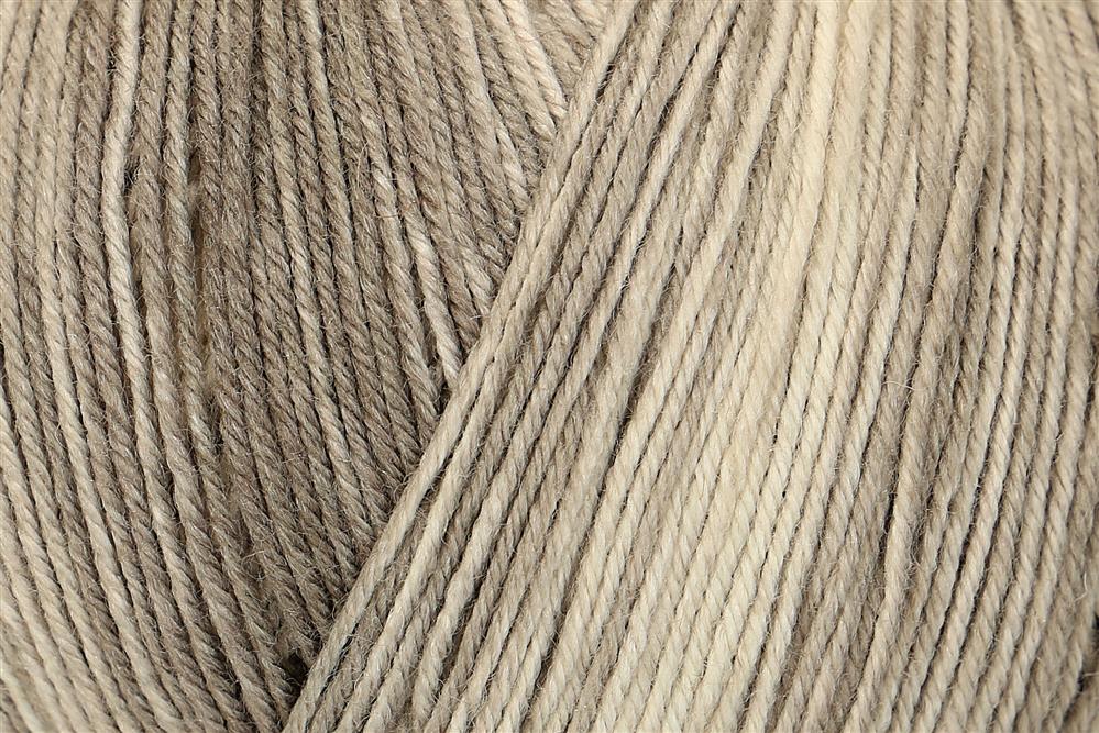 Premium Silk Color 4-fach Sockenwolle 100 g von Regia
