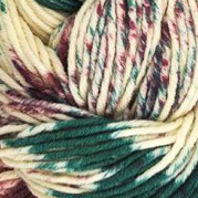 Huasco Aran von Araucania Yarns