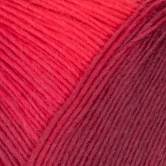Year Socks von Woolly Hugs