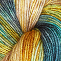 Viva Color von Symfonie Hand-Dyed-Yarns