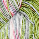 Viva Color von Symfonie Hand-Dyed-Yarns