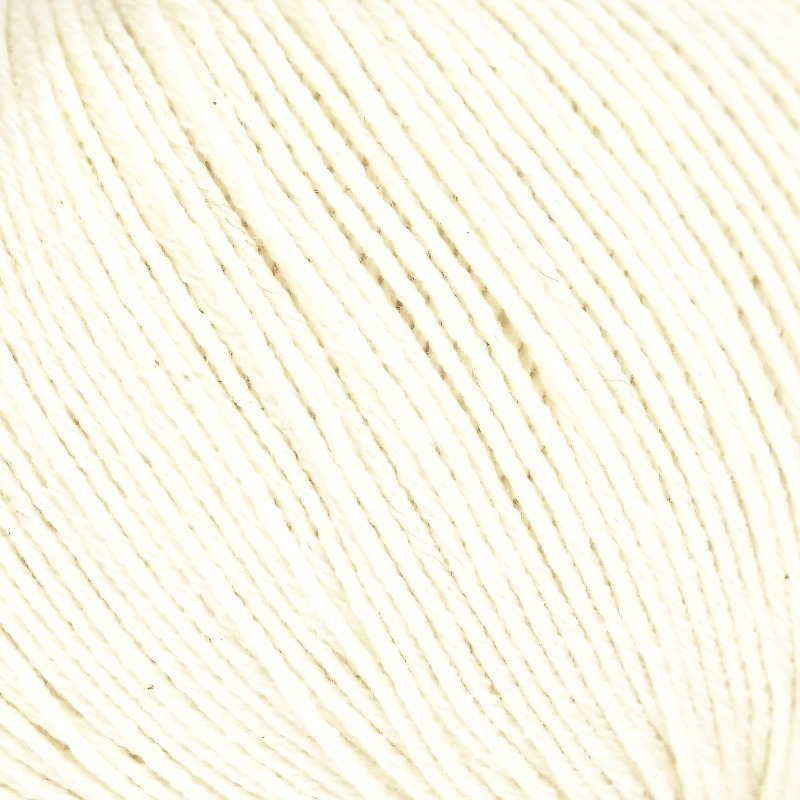 Cascada Linie 538
