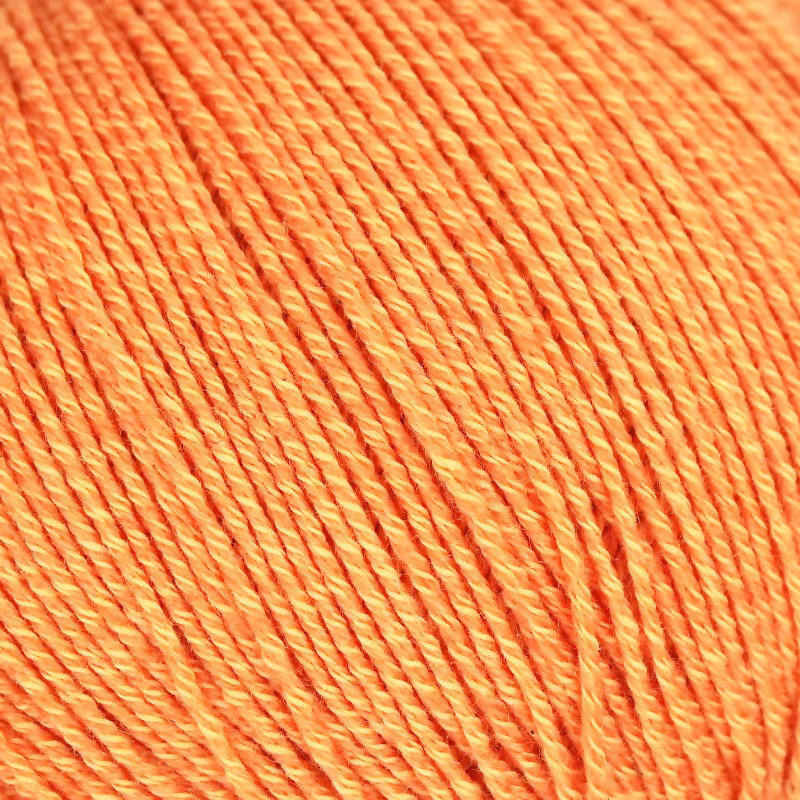 Cascada Linie 538