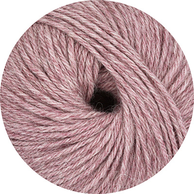 Alpaca Linie 310 von ONline