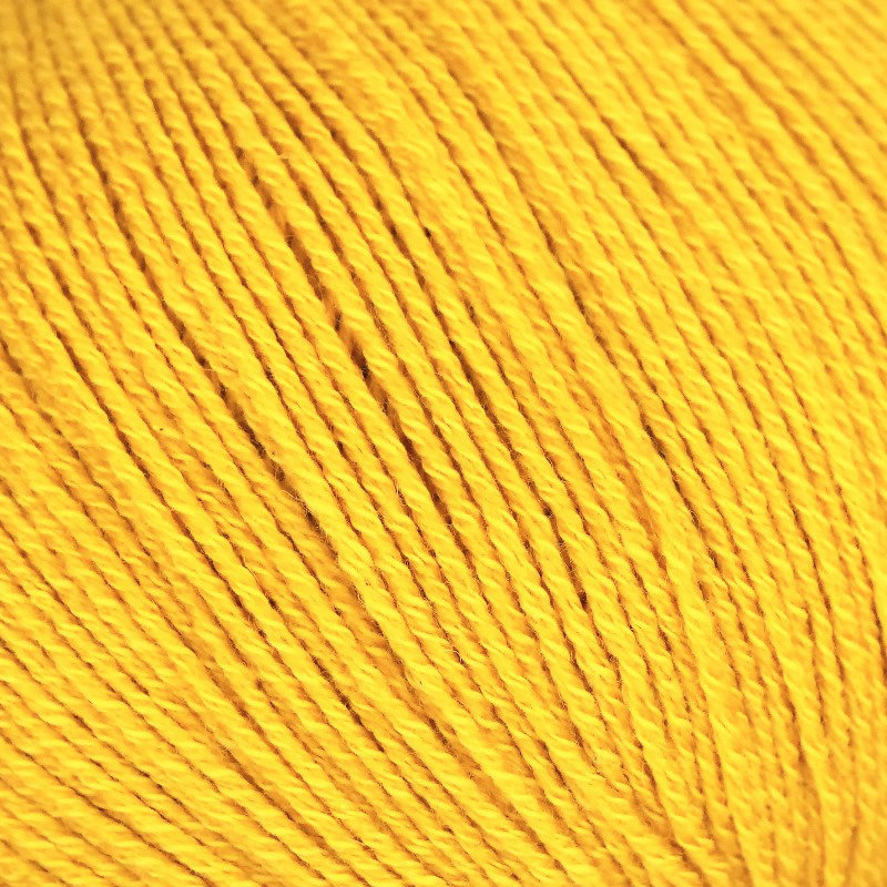 Cascada Linie 538