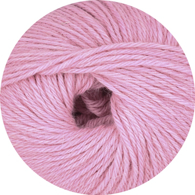Alpaca Linie 310 von ONline