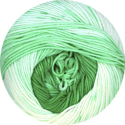Agave Linie 459 von ONline